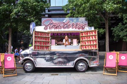 The Artisan Strawberry Van-Image-3