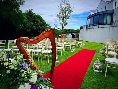 Emer Shearer Harpist-Image-8