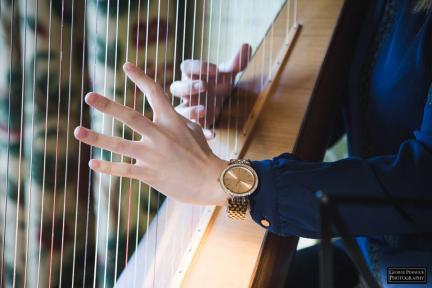 Emer Shearer Harpist-Image-4