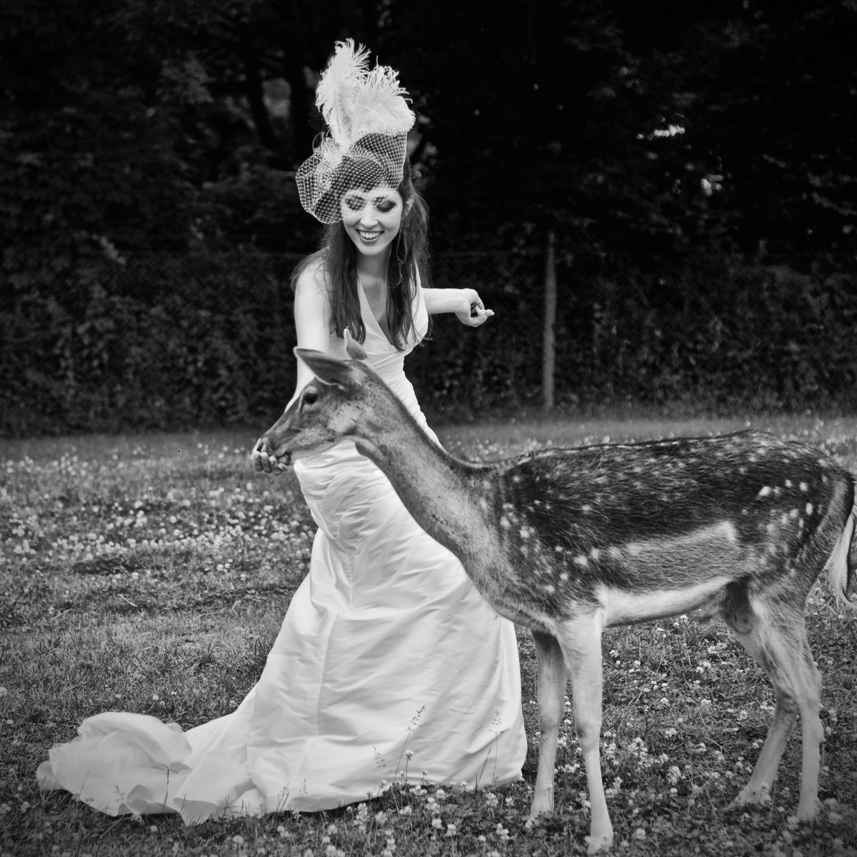 Dartmoor Zoological Park-Image-25