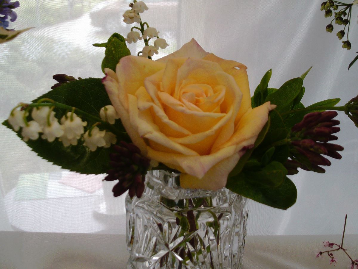Floral Gift-Image-50