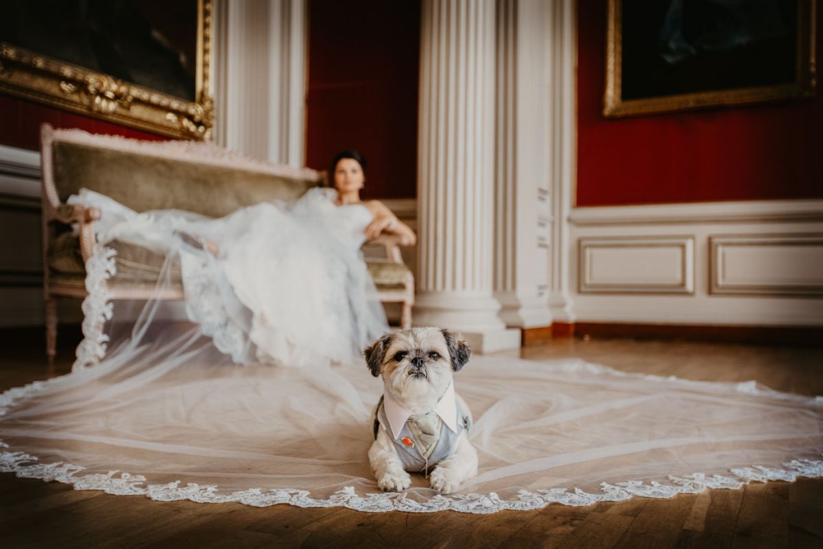 Kimbolton Castle-Image-2