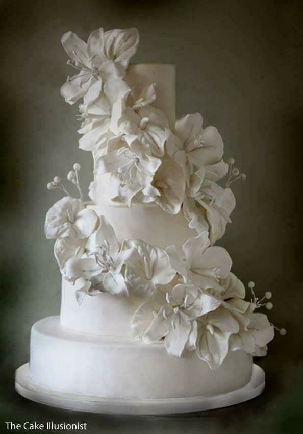The Cake Illusionist-Image-19
