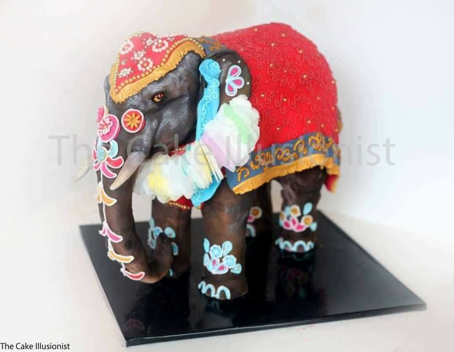 The Cake Illusionist-Image-18
