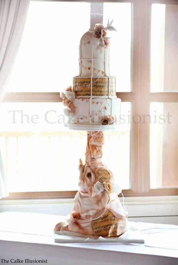 The Cake Illusionist-Image-14