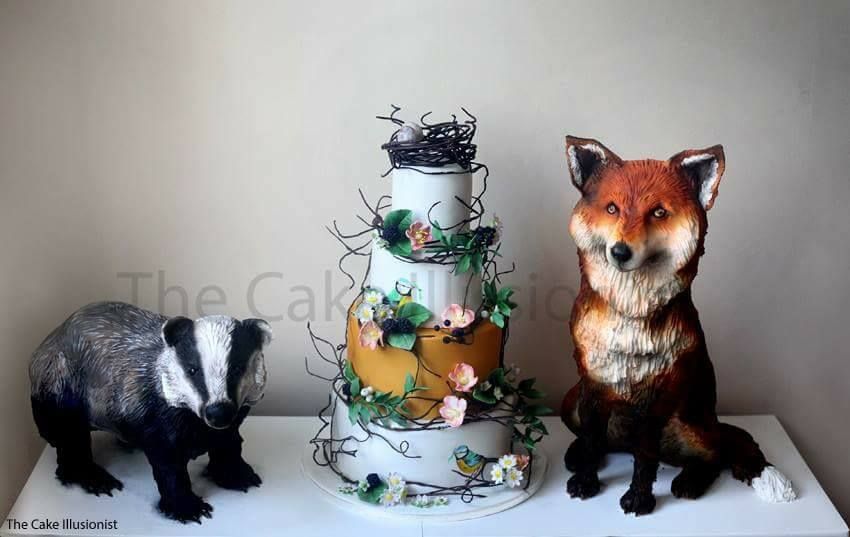 The Cake Illusionist-Image-31