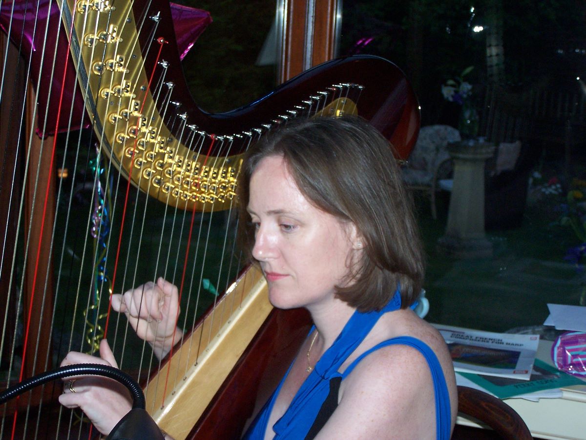 The Wedding Harpist-Image-5