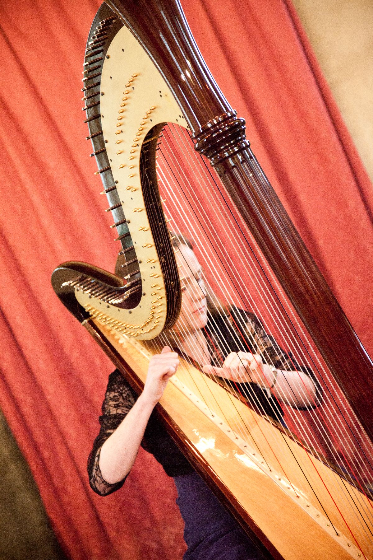 The Wedding Harpist-Image-3