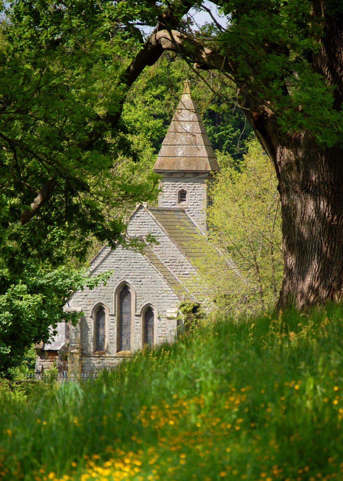 Gallery Item 17 for Glanusk Estate