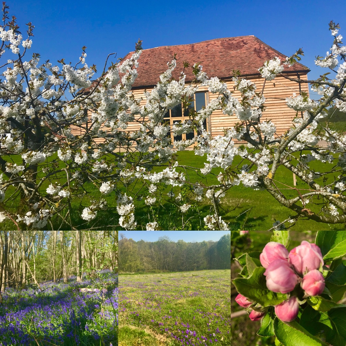  Wedding  Venue  in Rye  The Cherry Barn UKbride