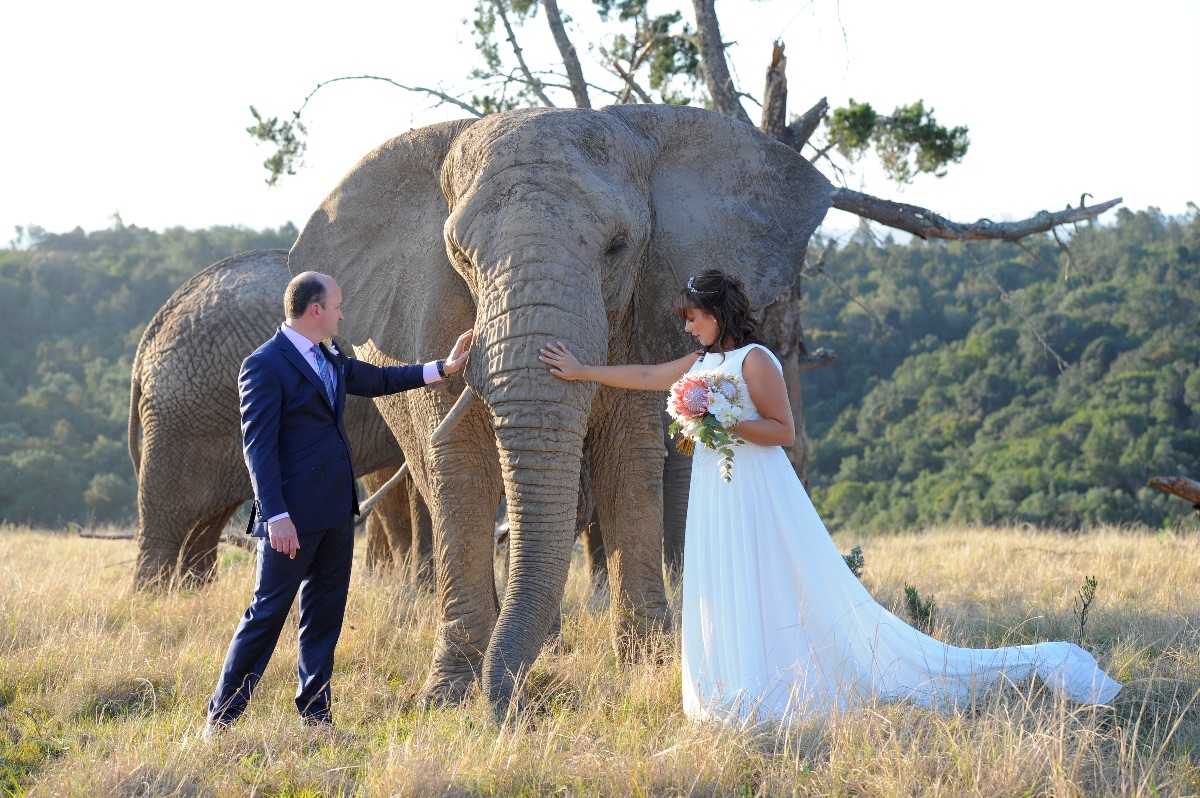 Malcolm Harris Photography-Image-125