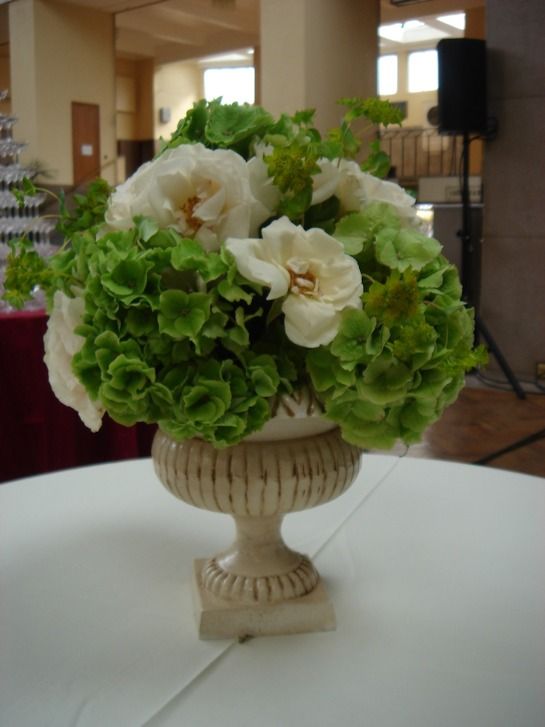 Moyses Stevens Flowers-Image-1