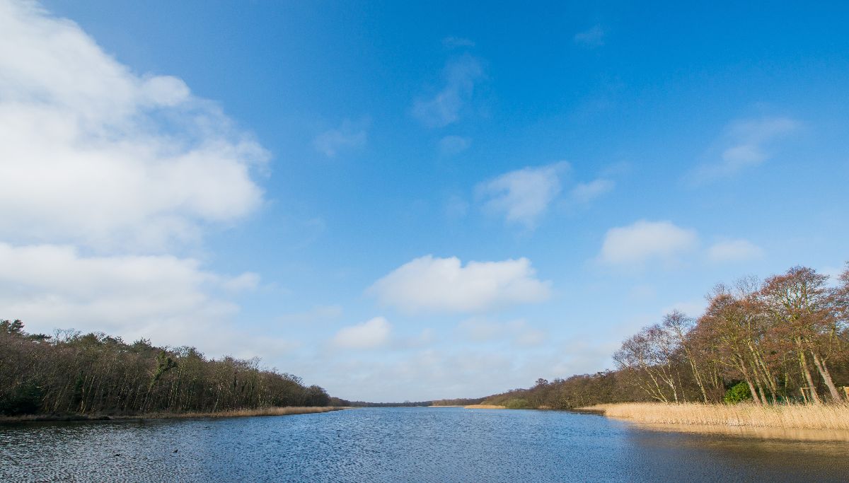 The Boathouse-Image-12