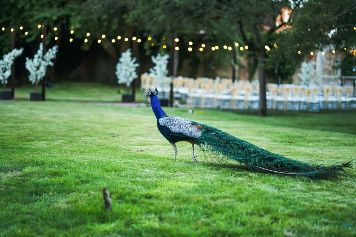 Guildford Manor Hotel & Spa-Image-6