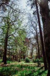 Gallery Item 23 for Highbullen Hotel Golf & Country Club