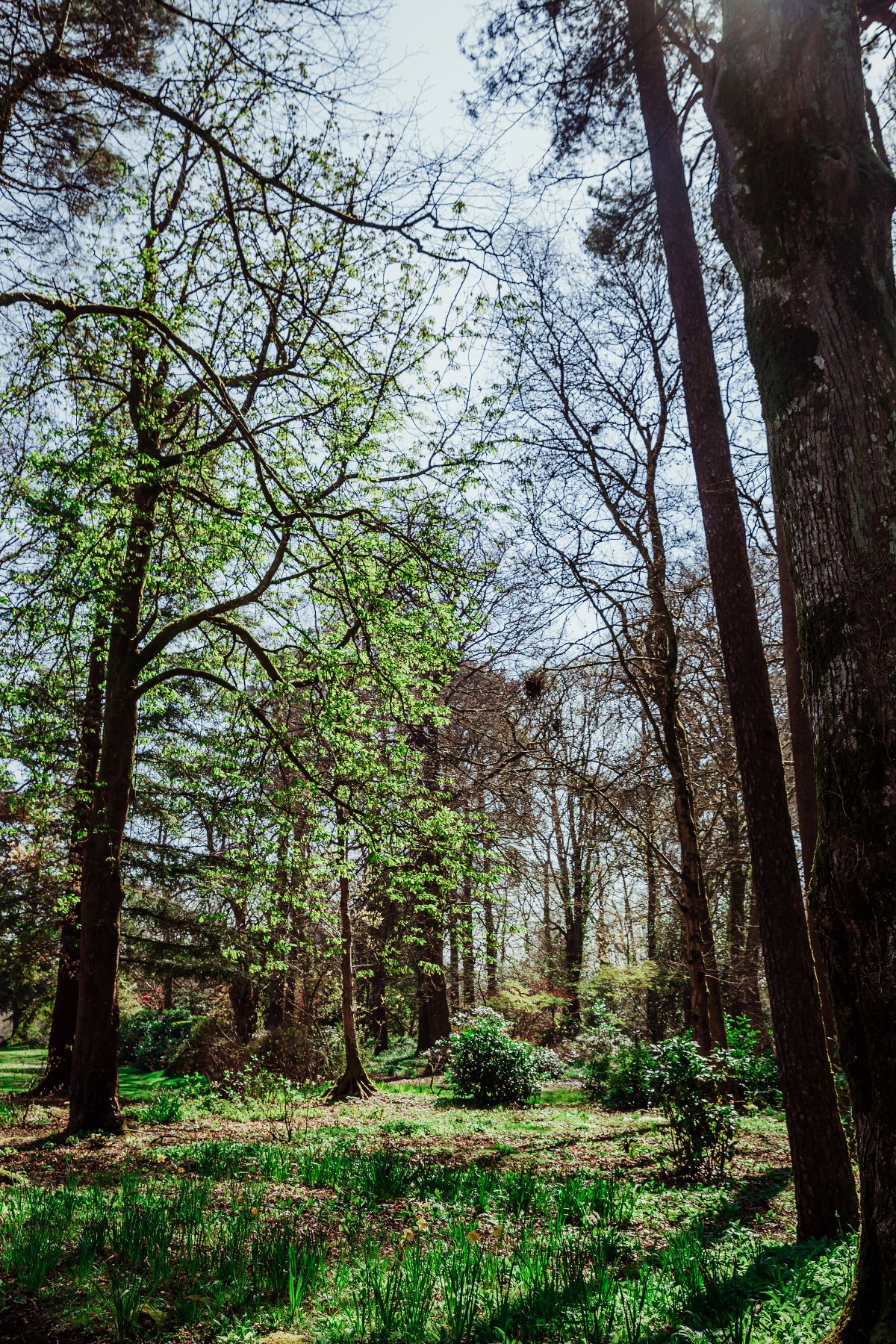 Gallery Item 18 for Highbullen Hotel Golf & Country Club