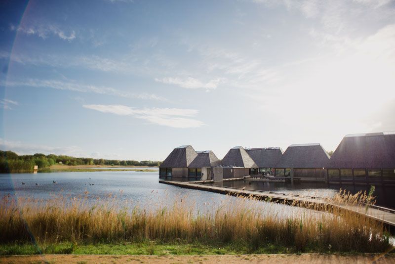 Brockholes Nature Reserve-Image-171