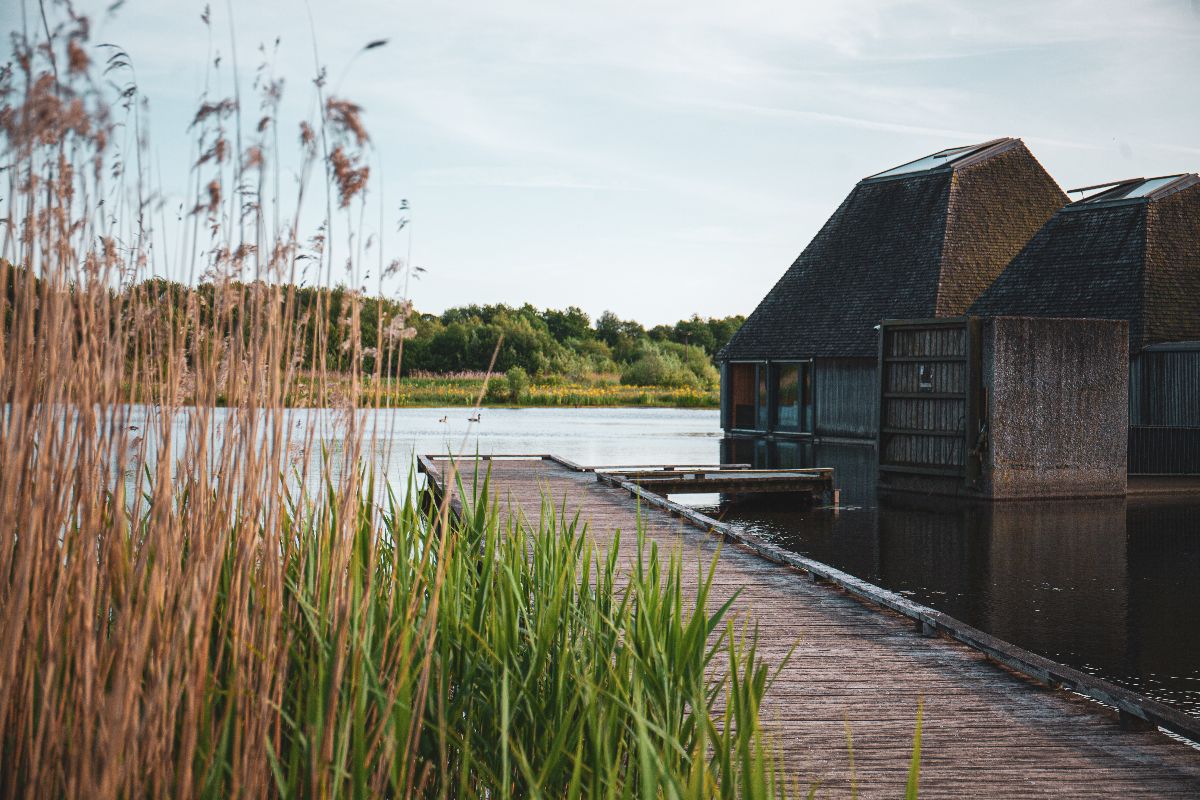 Gallery Item 106 for Brockholes Nature Reserve