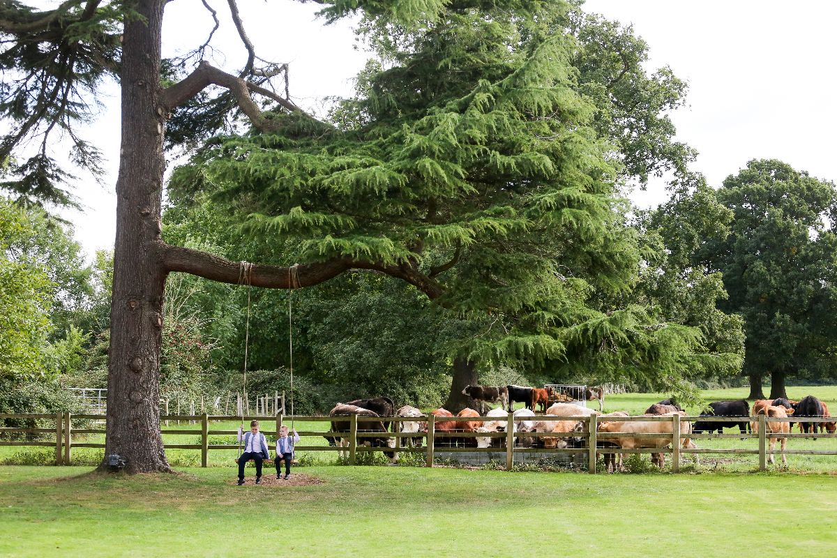 Gallery Item 75 for Eastington Park
