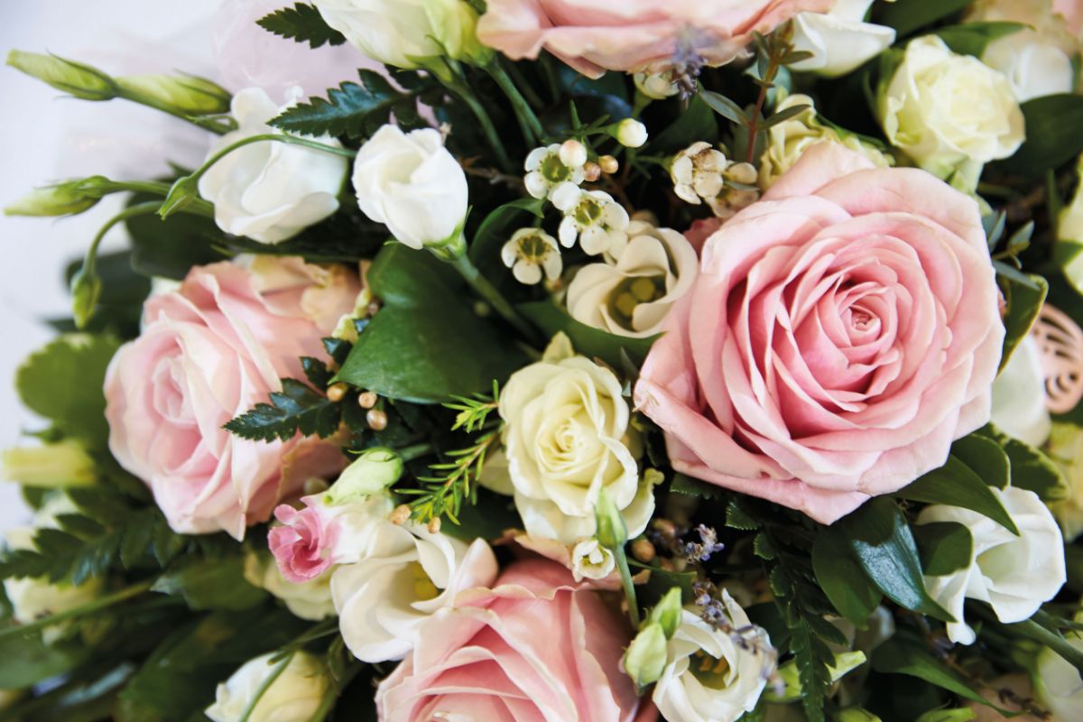 Gallery Item 9 for Kettering Park Hotel & Spa