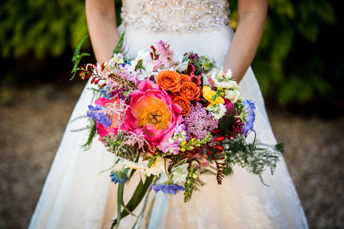 Hayley Pettit Photography-Image-46