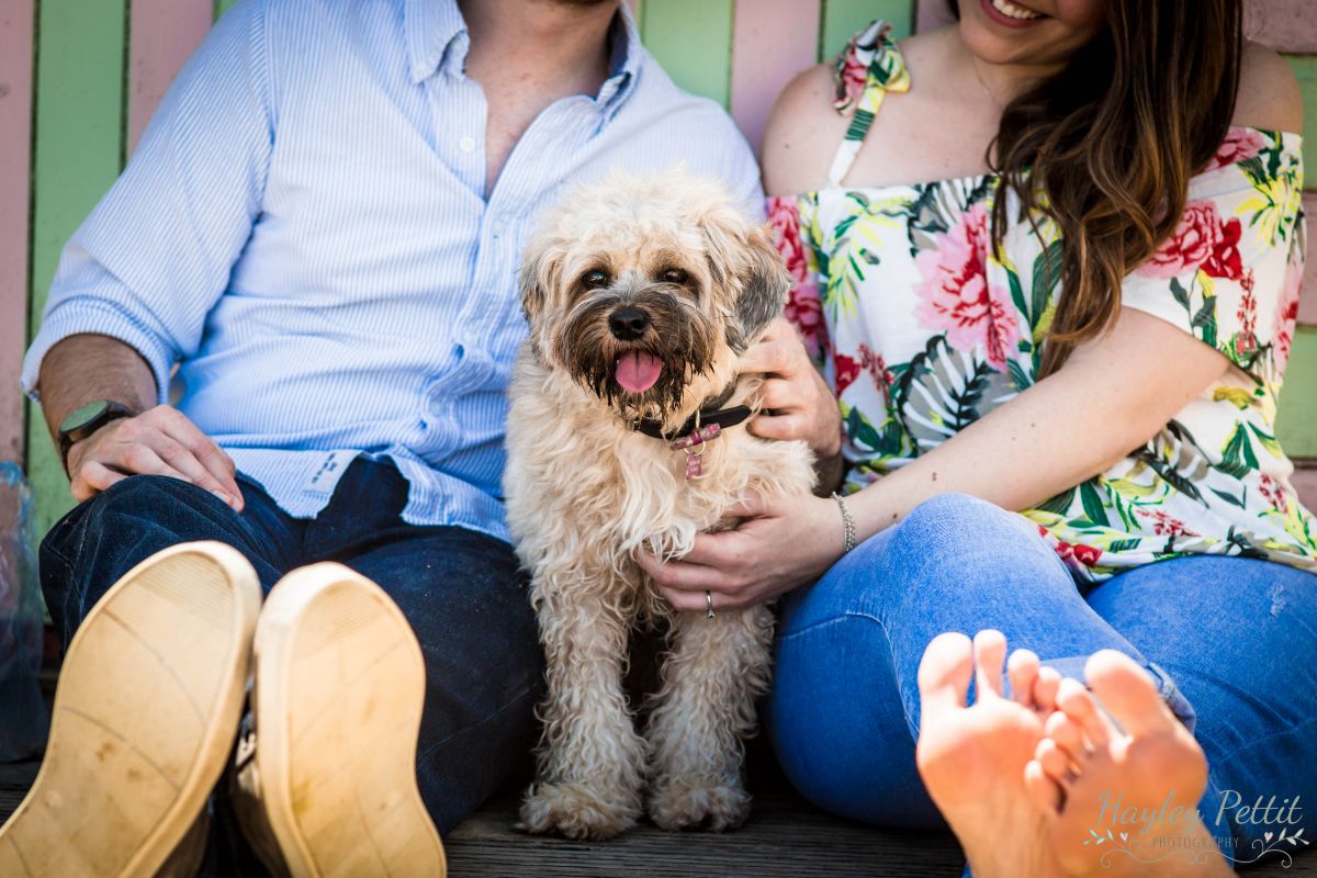 Hayley Pettit Photography-Image-34