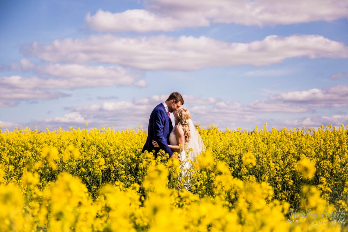 Hayley Pettit Photography-Image-17