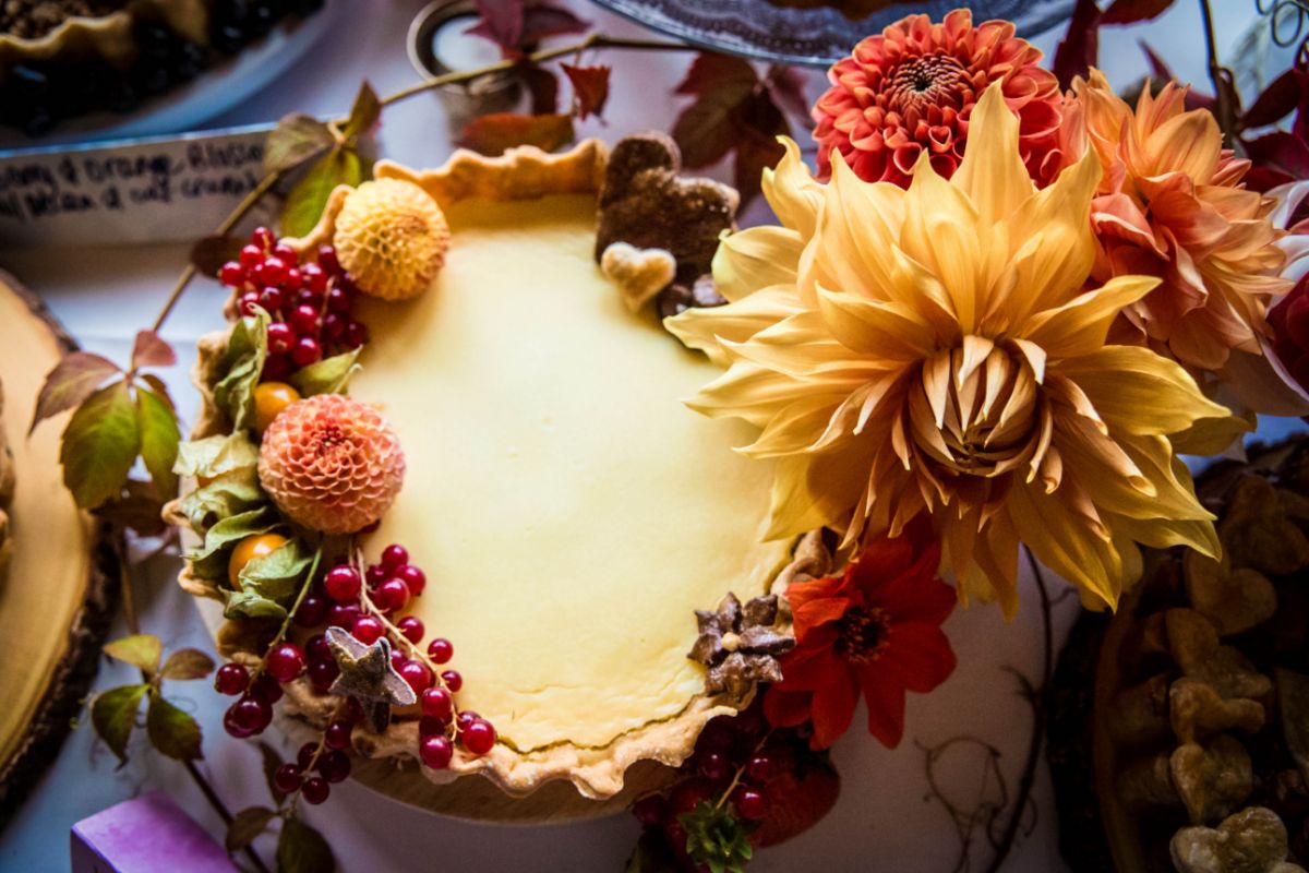 Hayley Pettit Photography-Image-20