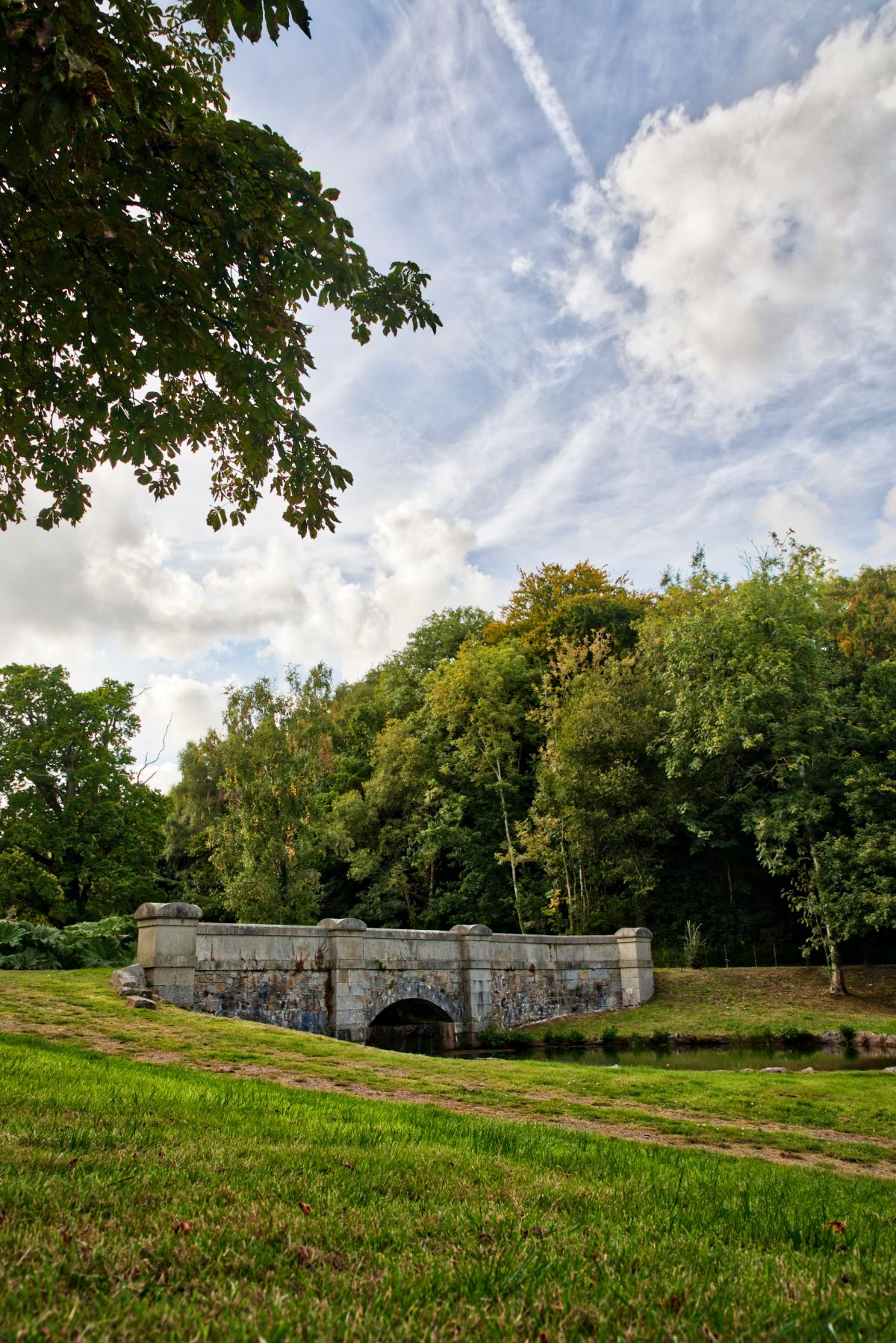 Colehayes Park-Image-3