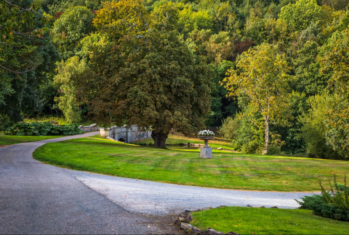 Colehayes Park-Image-4
