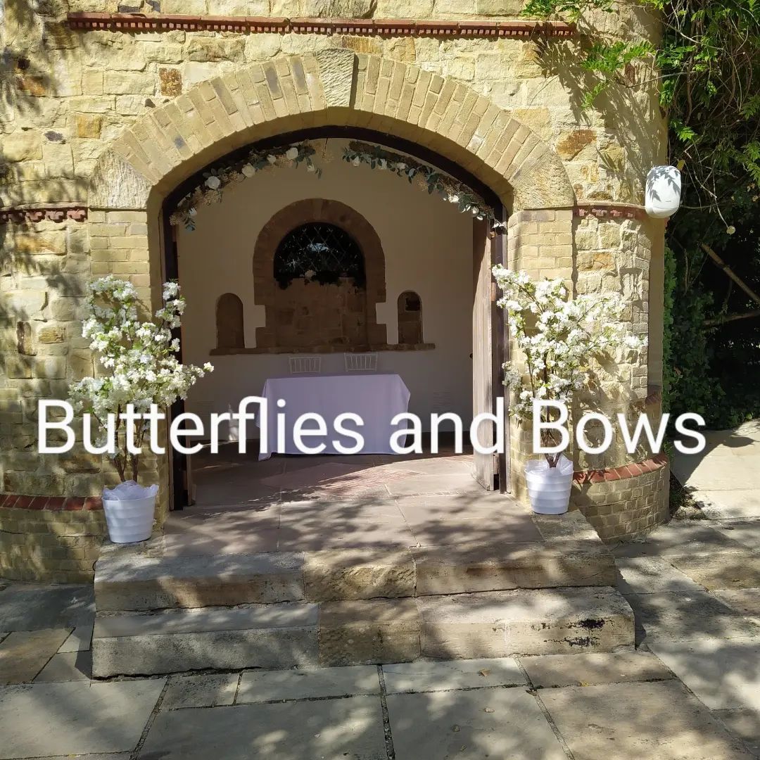 Butterflies And Bows-Image-26