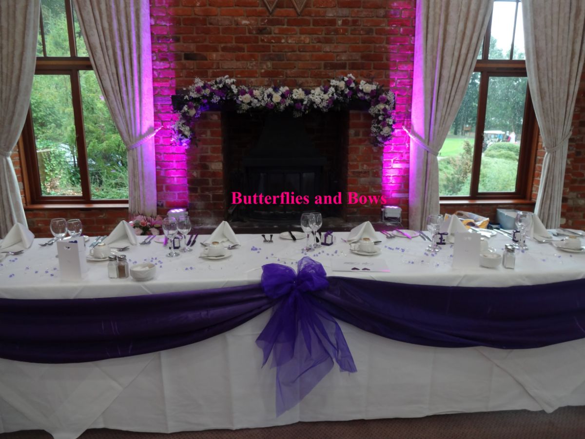 Butterflies And Bows-Image-362