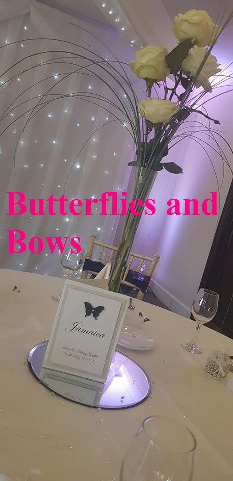 Butterflies And Bows-Image-146