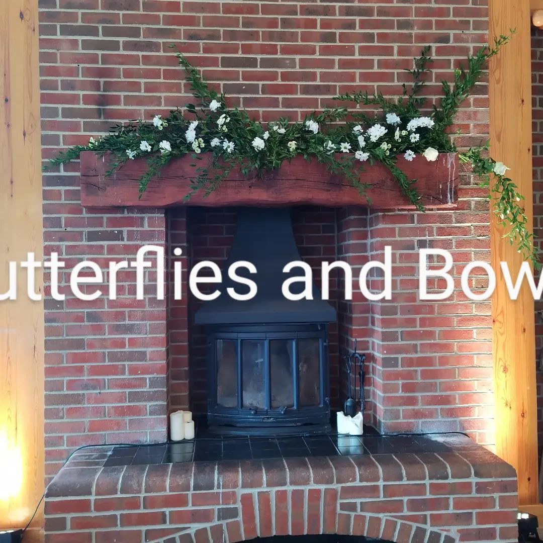 Butterflies And Bows-Image-69