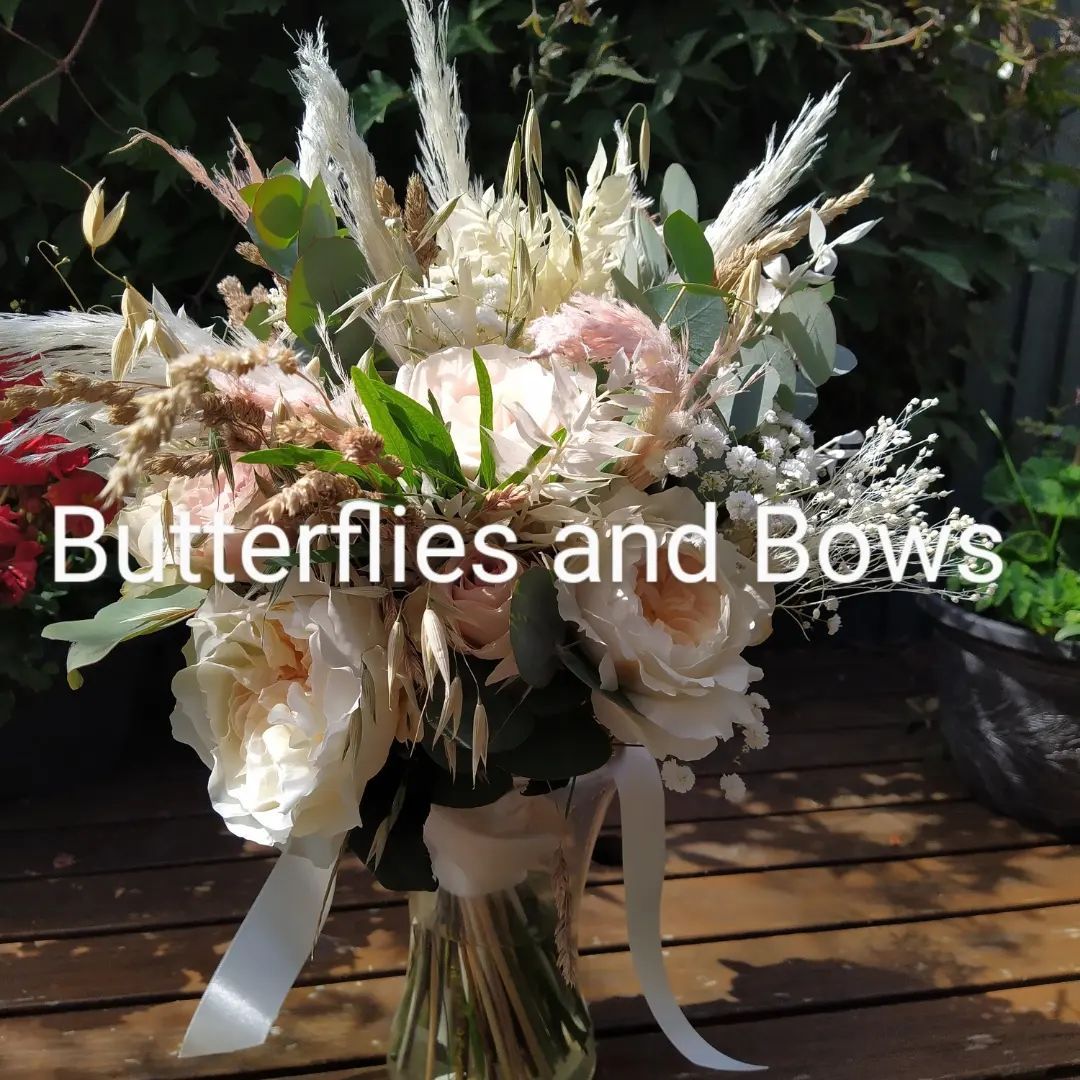 Butterflies And Bows-Image-25