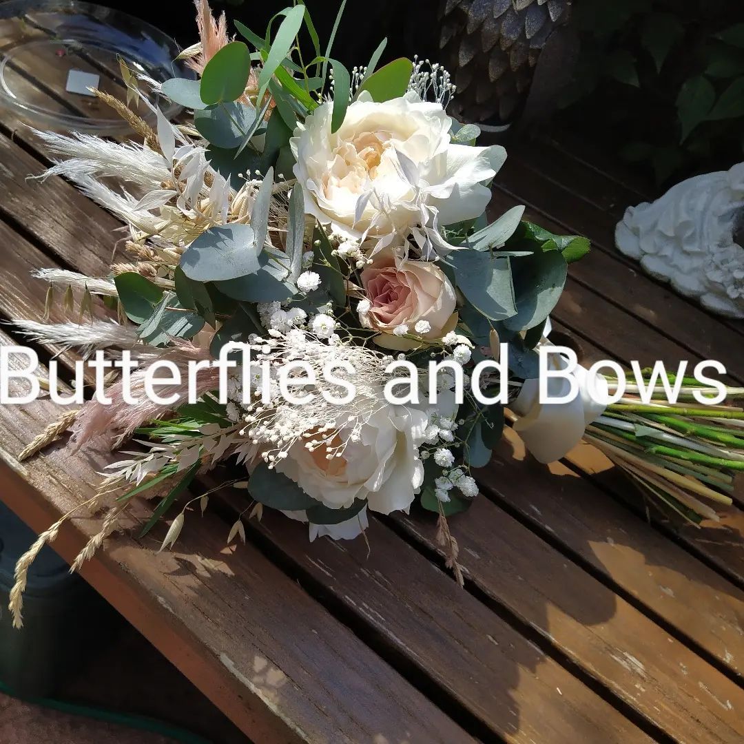 Butterflies And Bows-Image-14