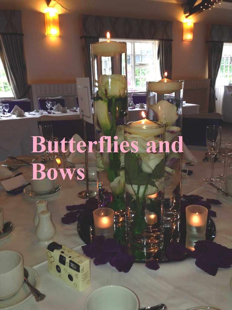 Butterflies And Bows-Image-293