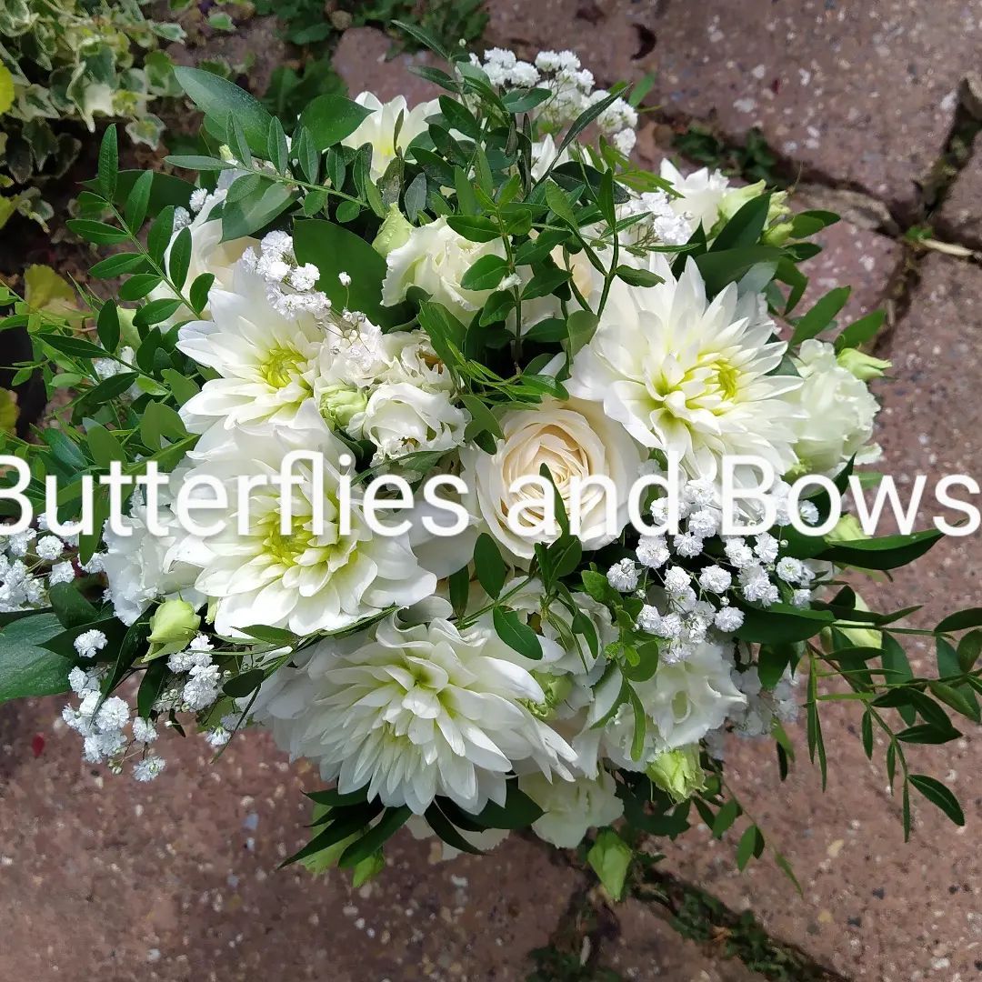 Butterflies And Bows-Image-6
