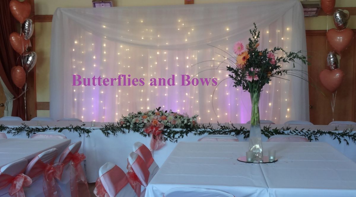 Butterflies And Bows-Image-313