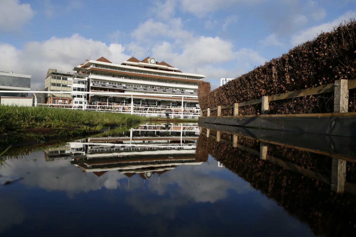 Newbury Racecourse-Image-180