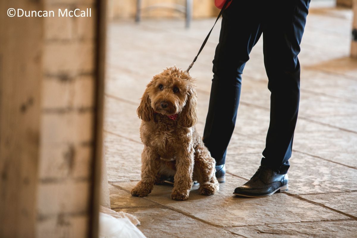 Gallery Item 77 for Eden Wedding Barn