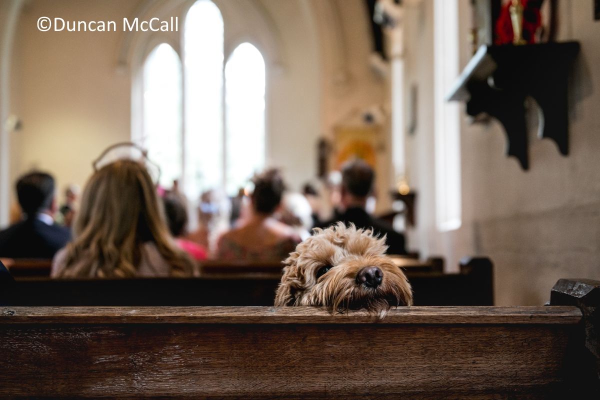 Gallery Item 81 for Eden Wedding Barn