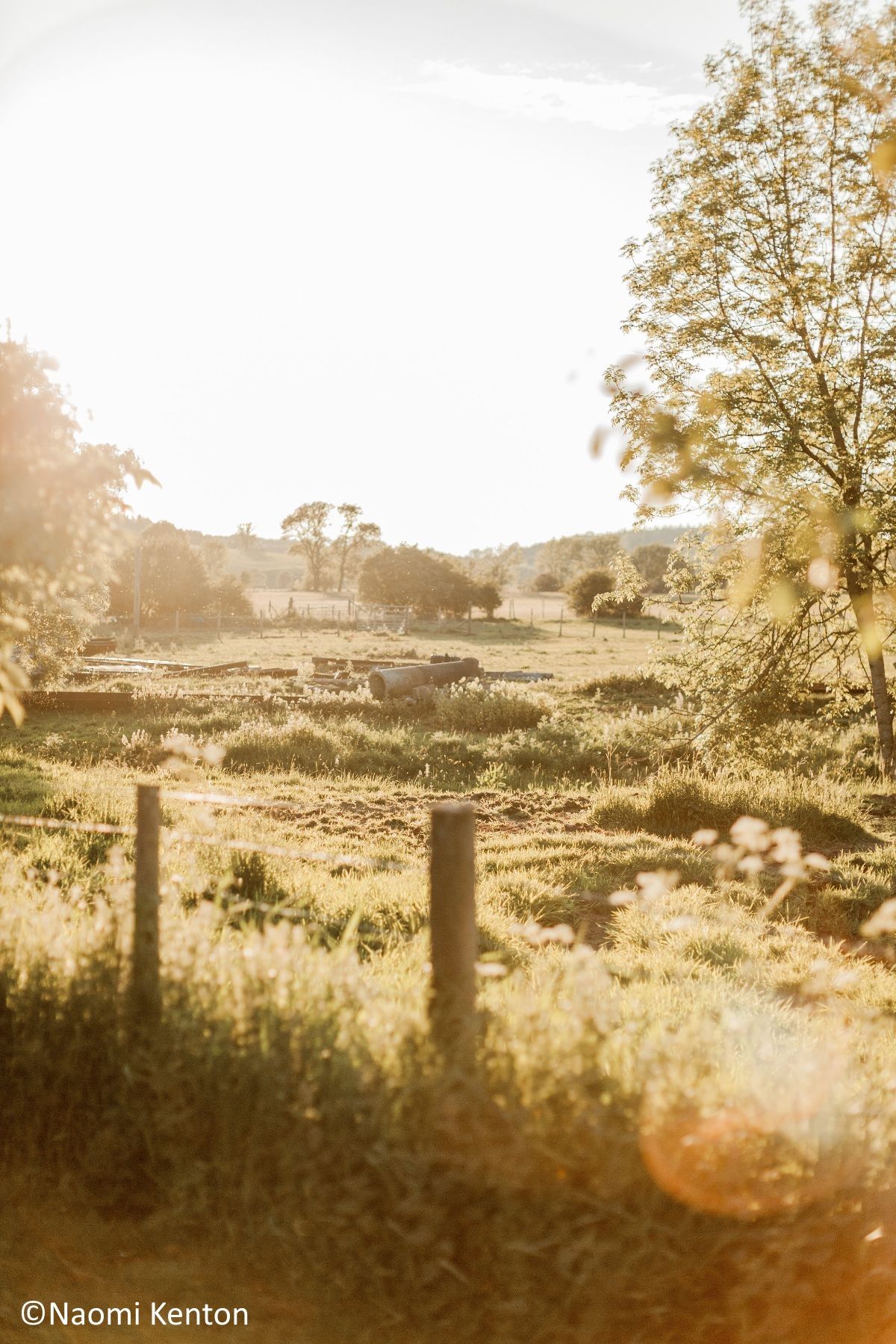 Gallery Item 31 for Eden Wedding Barn