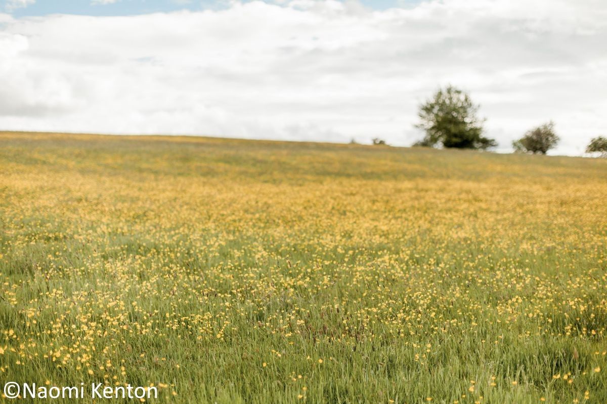 Gallery Item 14 for Eden Wedding Barn