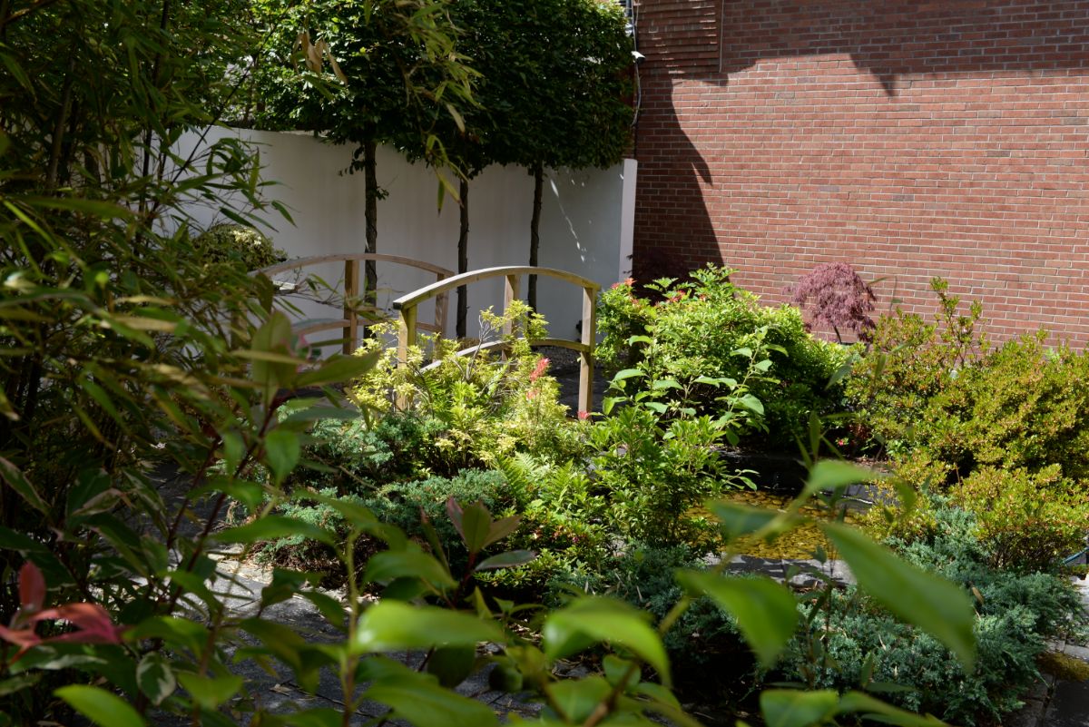 Gallery Item 19 for Glynhill Hotel & Leisure Club