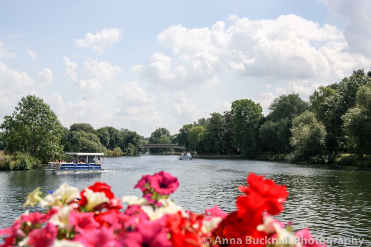 Royal Windsor Racecourse-Image-4