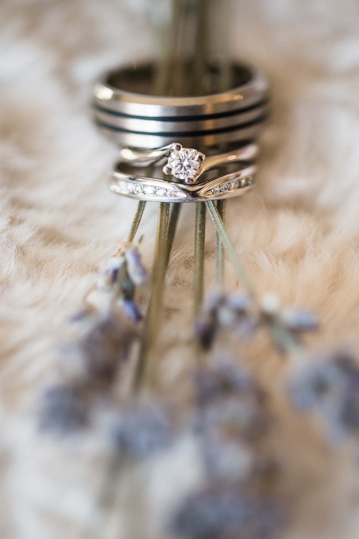 FJS Photography-Image-58