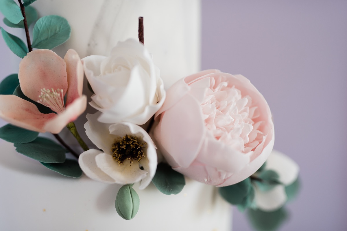 FJS Photography-Image-80