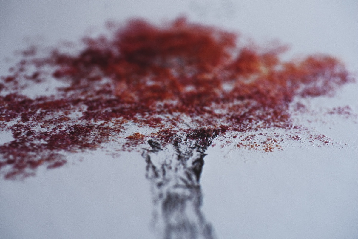 Kieran Boniface Photography-Image-1