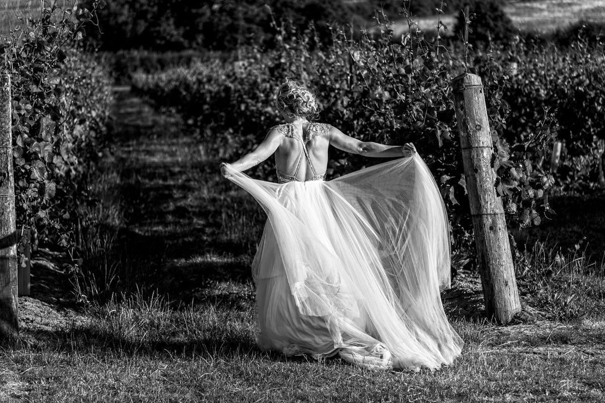 Cyrus Mehta Photography-Image-1